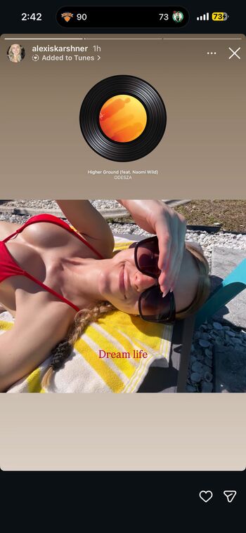 Alexiskarshner Amkarshner