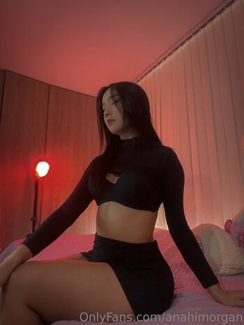 anahimorgan