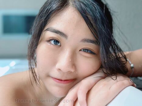bunnybrownie36