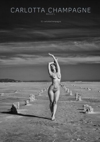 Carlotta Champagne