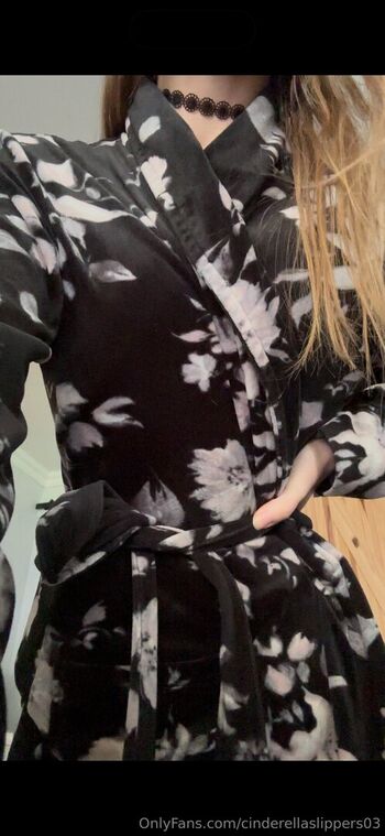 cinderellaslippers03