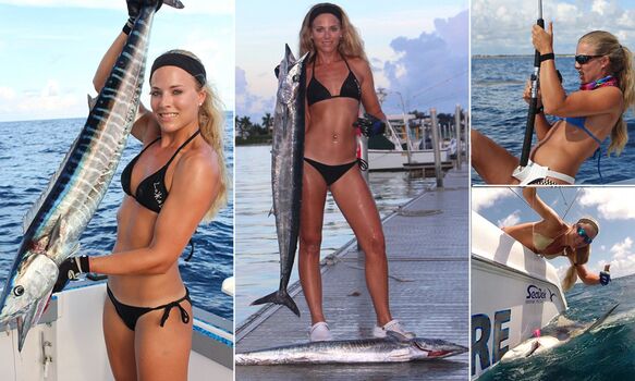 Darcizzle