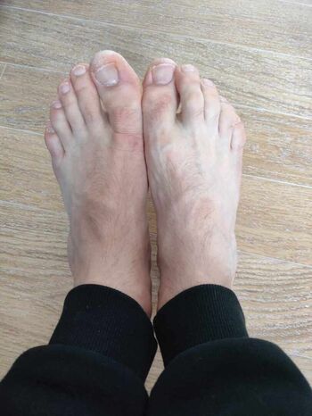 Feetadele