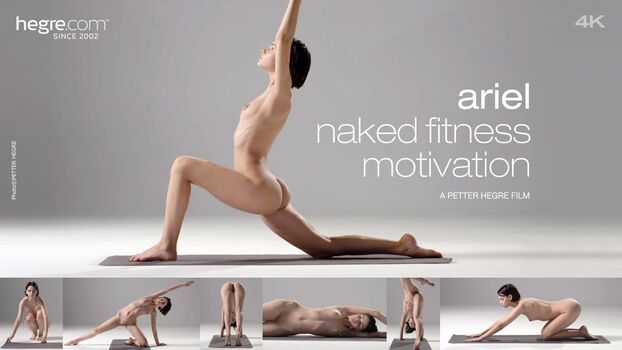 fit_ariel