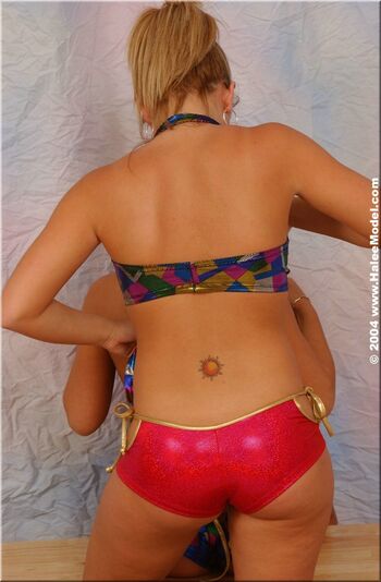 Halee Model