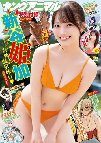 Hime Araya