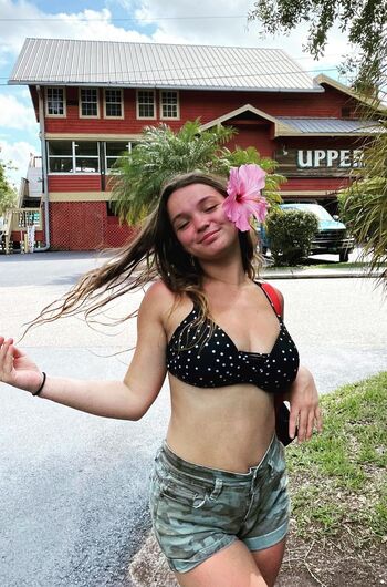 _lexistone2