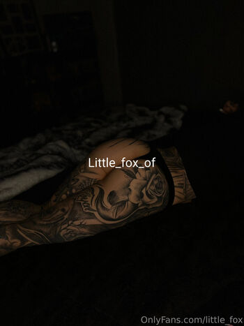 little_fox