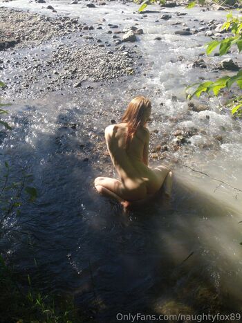 Naughtyfox89