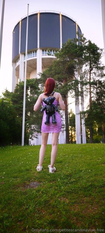 petitescandinavian.free