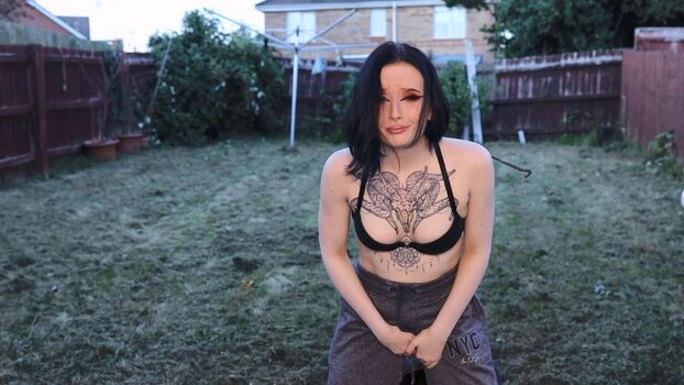 raven_alternative