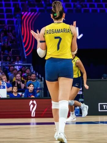 Rosamaria Montibeller