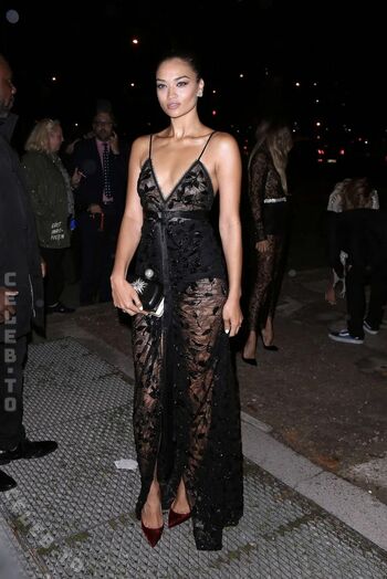 Shanina Shaik