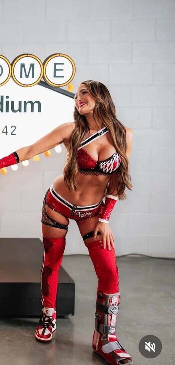 The Bella Twins
