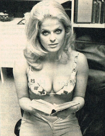 Vintage Vidsvarious Xxx