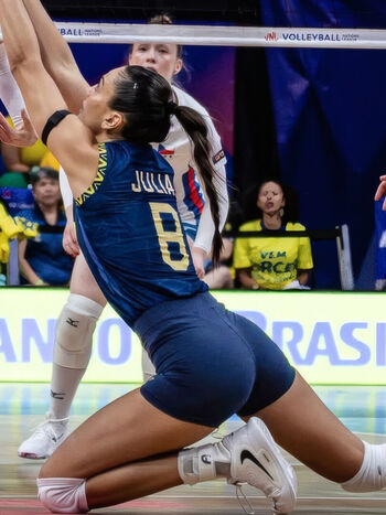 Volei Brasil