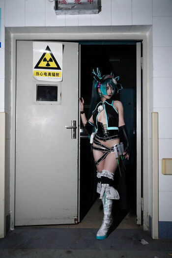 絞肉姬Walküre